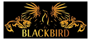 Blackbird
